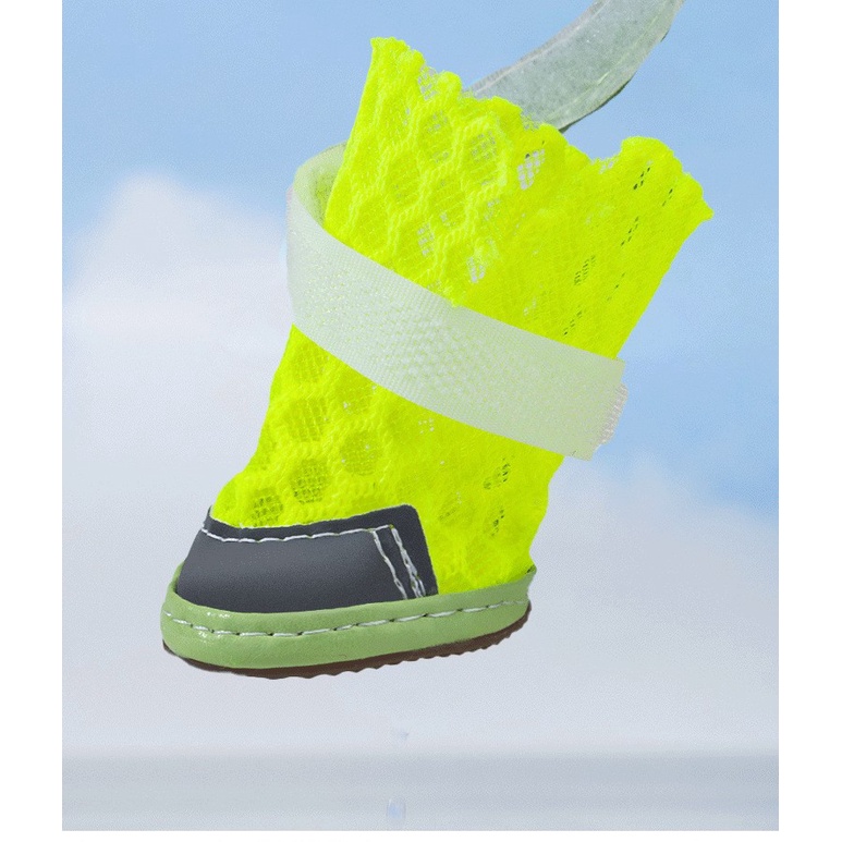 giày dạ quang đi mưa /đi bộ/ picnic cho chó