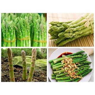 Hạt măng Tây - gói 10 hạt