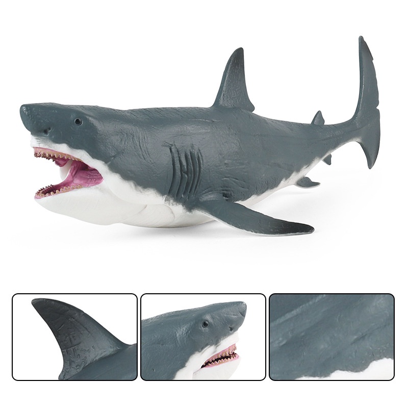 Mô Hình Cá Mập Megalodon Độc Đáo Sống Động