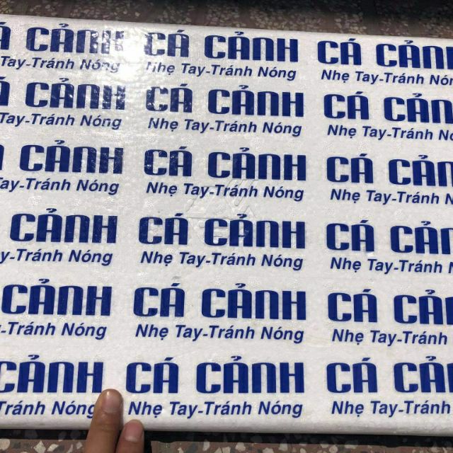 Băng keo in chữ cá cảnh chuyên dùng để ship cá