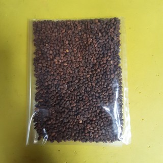 Hạt giống rau mầm muống