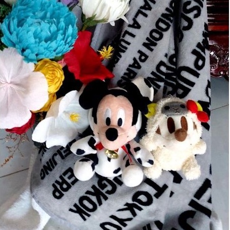 Chuột mickey bông cotlay động vật