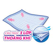 Tấm Đệm Lót Caryn Mỏng Nhẹ Thoáng Khí 42cm x 72cm 20 miếng/gói