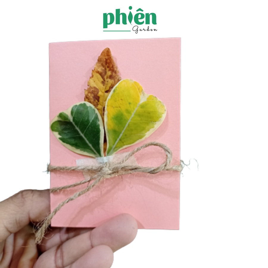 Thiệp hoa khô handmade giấy cứng siêu xinh