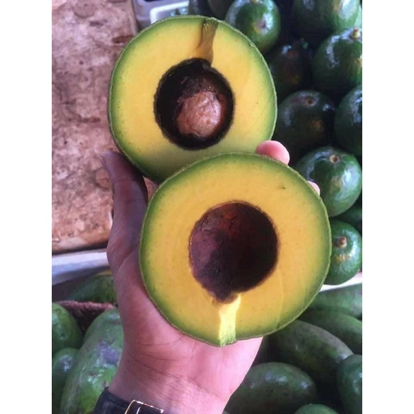 Bơ booth Lâm Đồng