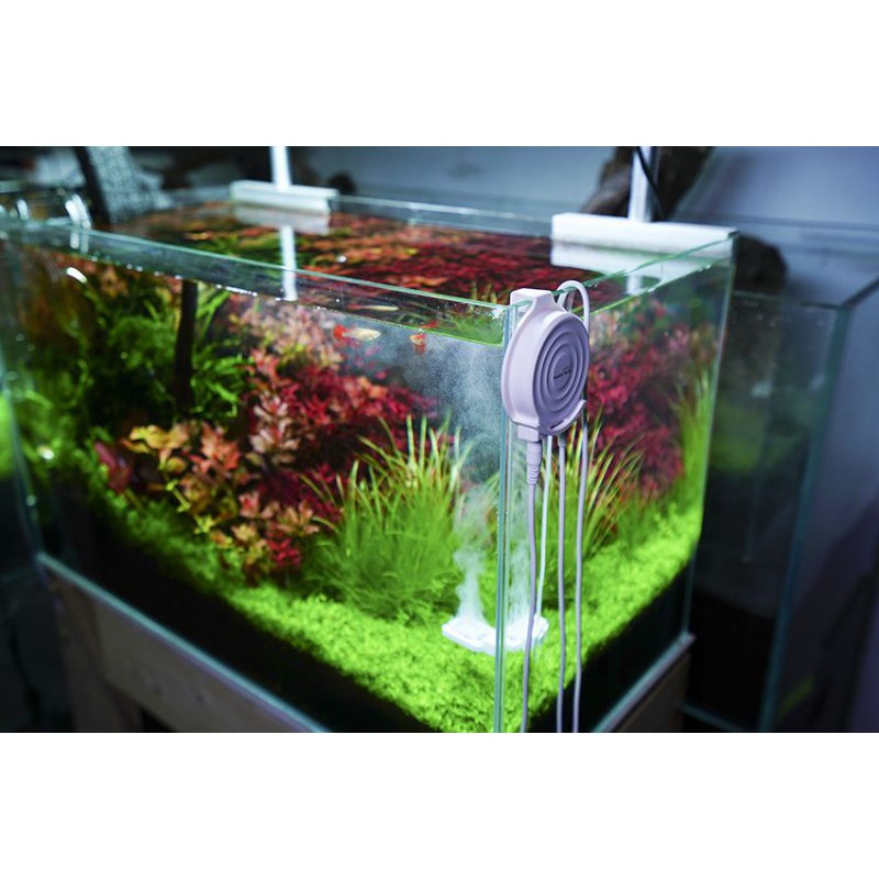 Chihiros Doctor Mate Bluetooth | MÁY ỨC CHẾ RÊU HẠI - KHUẨN HẠI