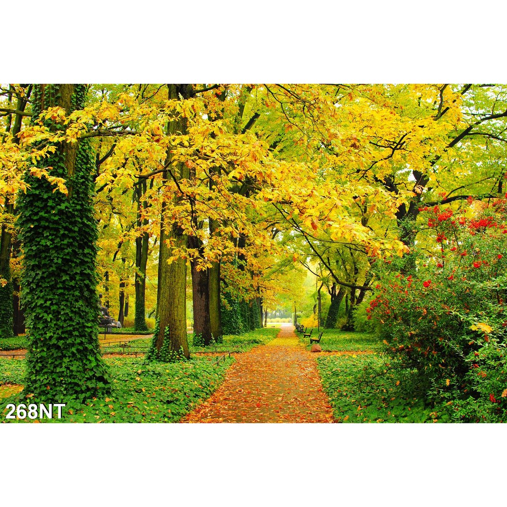 TRANH DÁN TƯỜNG 3D PHONG CẢNH,CẢNH VẬT, CẢNH TRANG TRÍ,THIÊN NHIÊN.