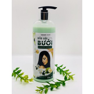 Dầu Gội Bưởi Lucky Star (500ml)