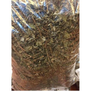 Chè dây tuyết Sapa