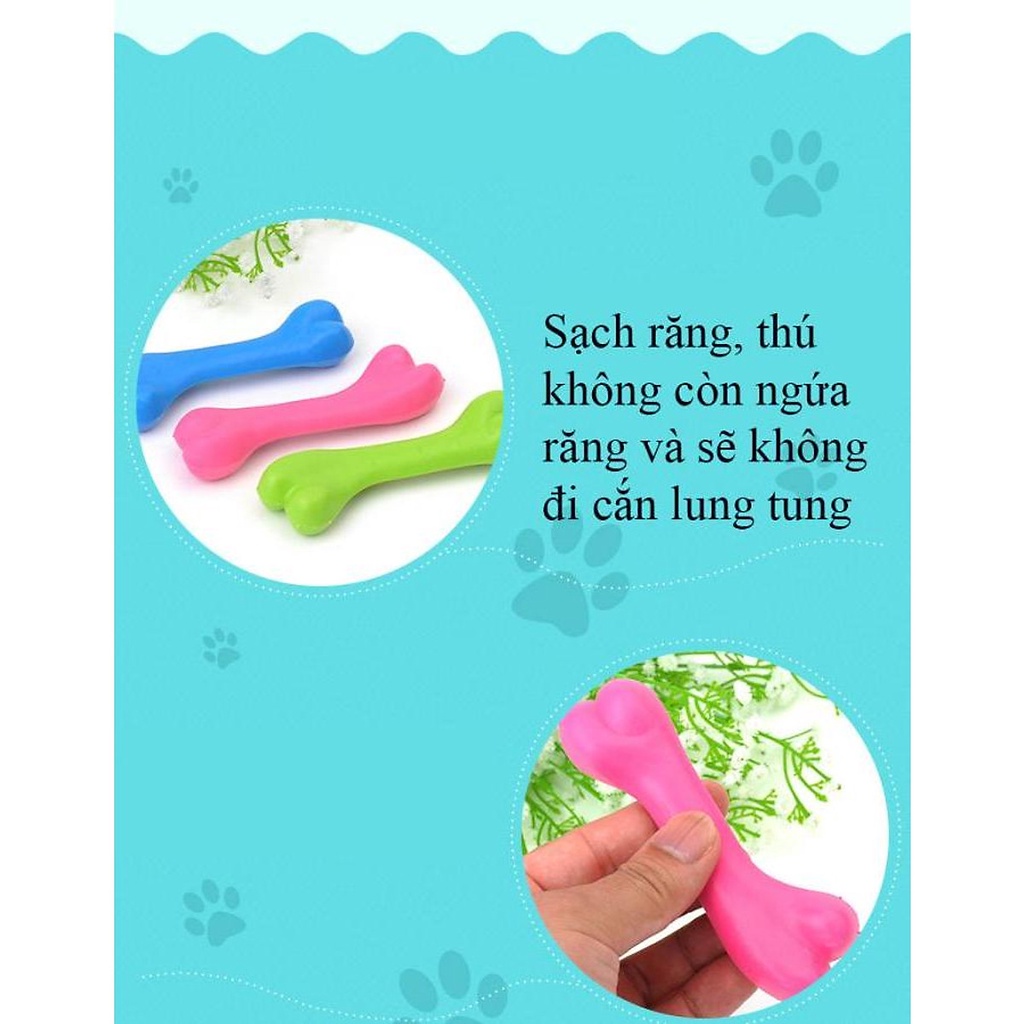 SƯƠNG CAO SU TỰ NHIÊN CHO CHÓ GẶM SẠCH RĂNG