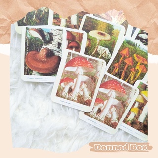 Set 40 Miếng Dán Sticker Hình Cây Nấm Phong Cách Vintage