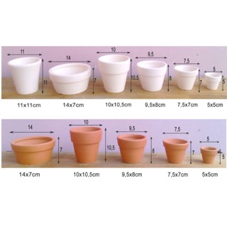 Combo chậu cho khách.( 10 chậu đất nung 11*10)