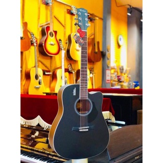Guitar Rosen