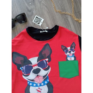 áo thun thái unisex oversize[chó đeo kính] KY49