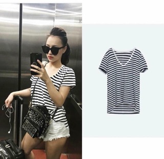Áo phông giấy cổ Tim