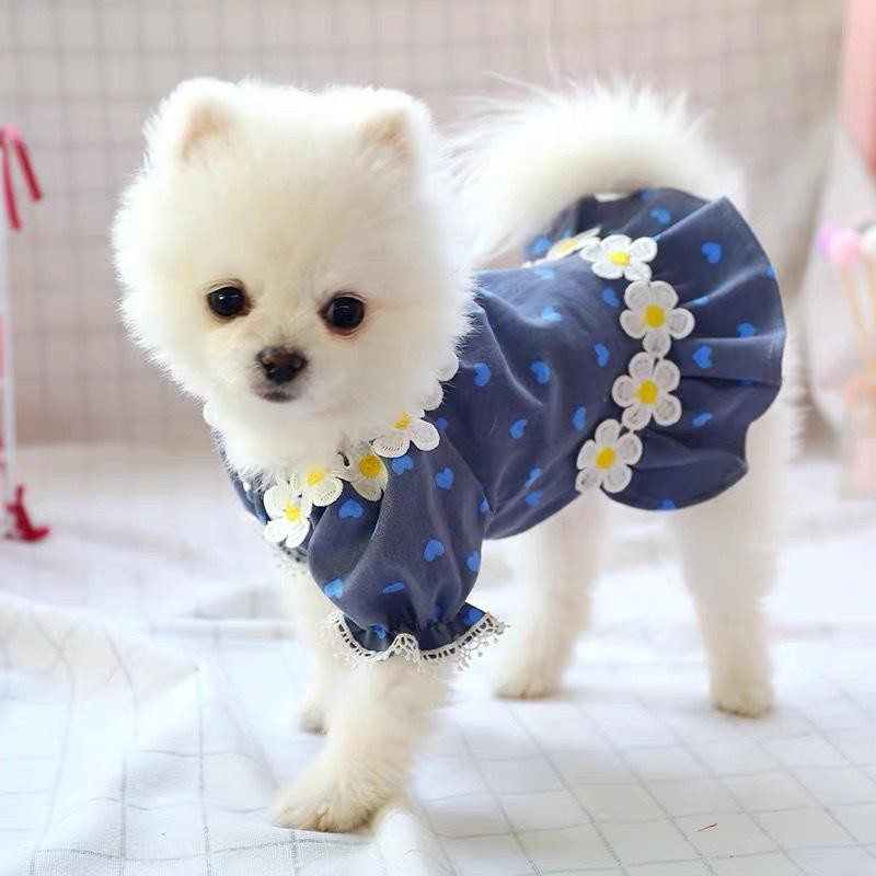 Quần áo cho chó mèo cưng Teddy Pomeranian bichon con nhỏ mùa xuân và hè yêu thích nịt ngực frangipani denim