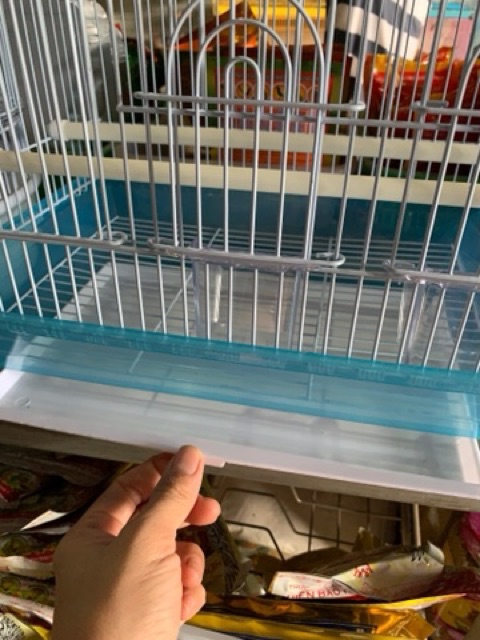 Lồng nuôi vẹt, yến, hamster, sóc, yến phụng, chim yến, chim cút