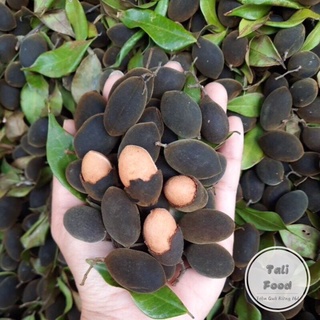 [TaLifood] Trái Say Rừng Mùa Mới Mềm Mịn Bột Nhiều|Trái nhung rừng