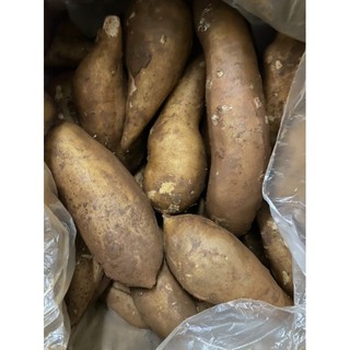 Khoai sâm đất y tý 1kg