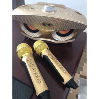 Loa Bluetooth karaoke kèm 2 míc SDRD-306(20W)/SDRD-306 Plus(30W-âm thanh công suất lớn)