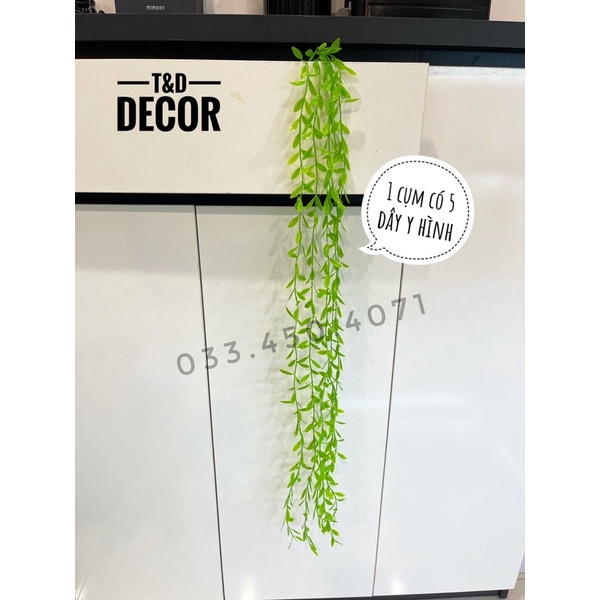 Cúc tần ấn độ dài 1 mét, dây lá giả, cây giả decor trang trí