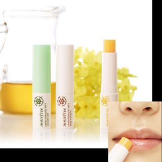 Son dưỡng môi mật ong không màu INNISFREE CANOLA HONEY LIP BALM