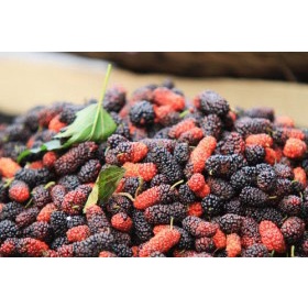 ♥️ Sỉ 10 ♥️ Hủ Mứt dâu tằm nguyên trái 800Gr - Đặc Sản Ngọc Huy Đà Lạt - UDaYa