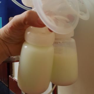 MÁY HÚT SỮA ĐIỆN ĐÔI REAL BUBEE NHẬT BẢN