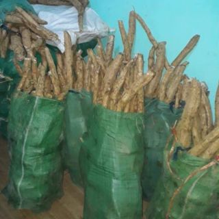 BỘT SẮN DÂY NGUYÊN CHẤT 1KG