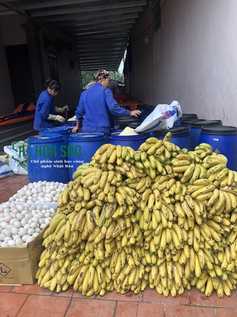 Combo 1 đậu tương, 1kg phân Nhật