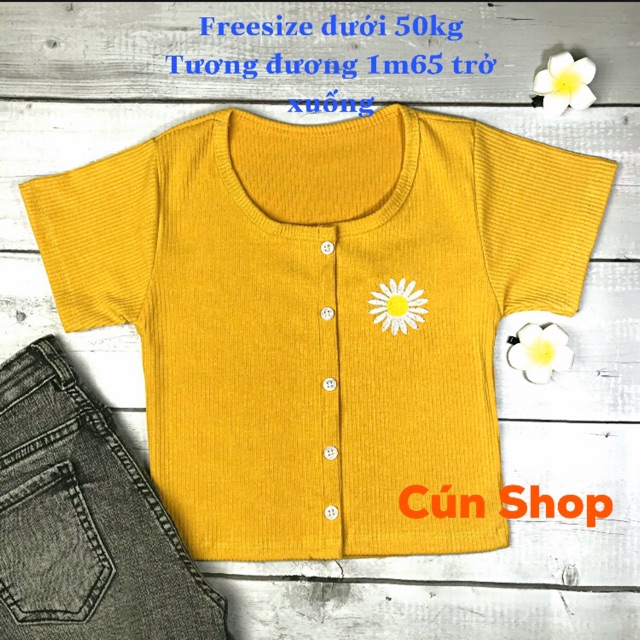 Áo croptop nhiều nút thêu hoa cúc 3 màu LIKANO CRT46 | BigBuy360 - bigbuy360.vn