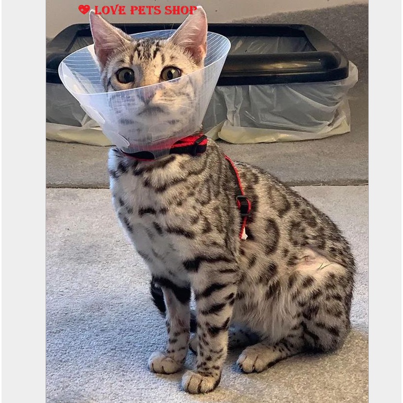 VÒNG CỔ CHỐNG LIẾM CHO CHÓ MÈO BẰNG NHỰA CÓ KHUY GÀI - LOVE PETS SHOP