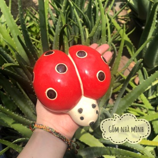 Bọ rùa xoè cánh (cỡ nhỏ)