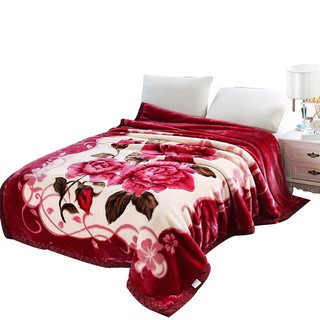 [CỰC MỊN] Chăn tuyết nhung dày ấm 2 lớp 160x200cm loại cao cấp 2.3kg - màu ngẫu nhiên