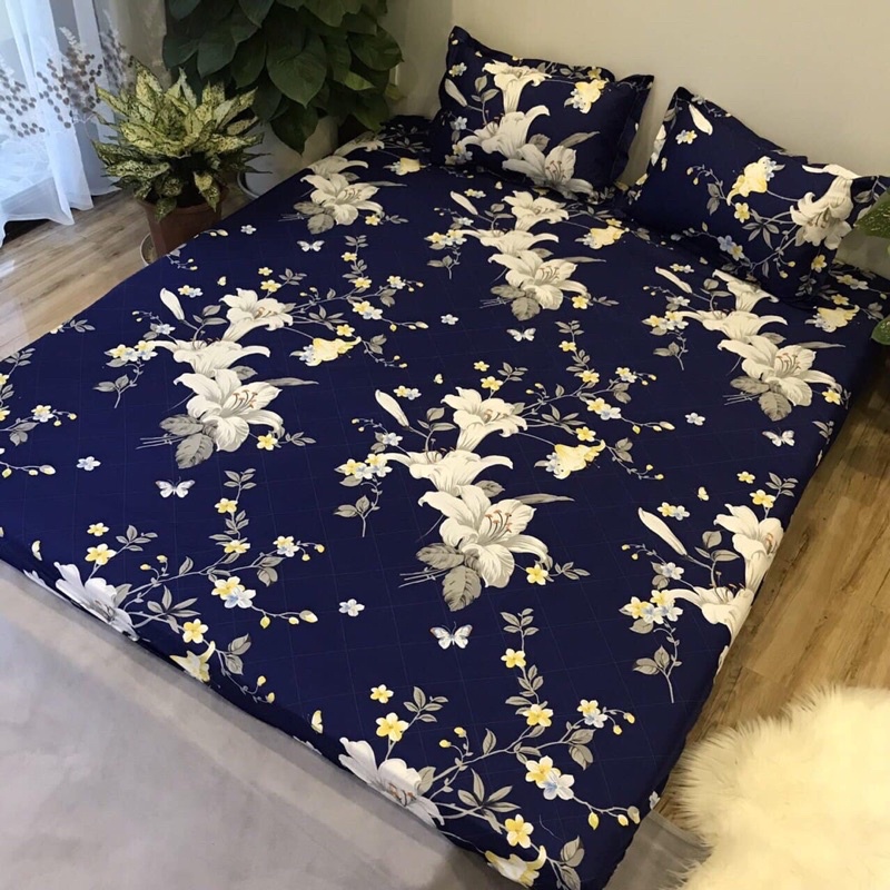 BIG SALE : Set hè chăn ga gối cotton 3D | BigBuy360 - bigbuy360.vn