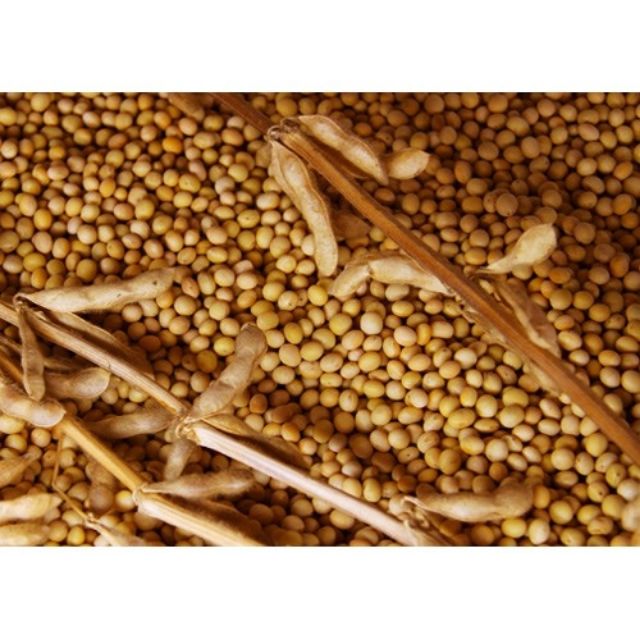 1kg đậu nành_ đỗ tương quê