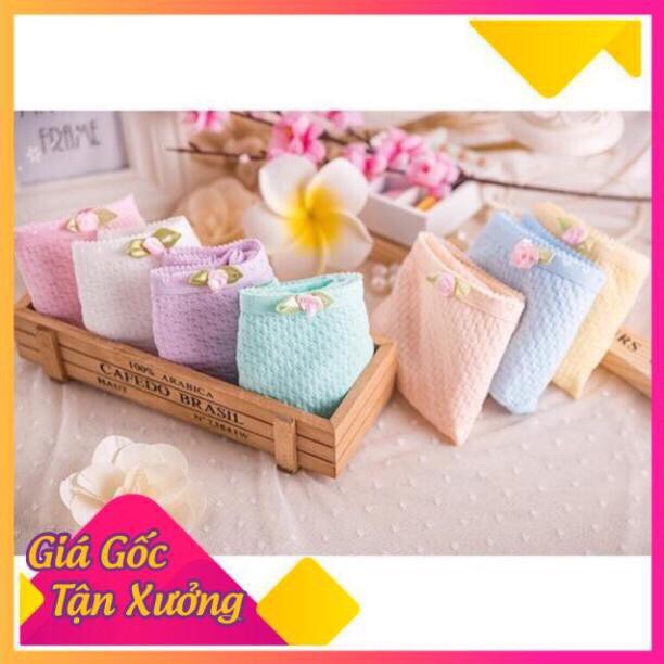 Quần Lót Cotton Sợi Bông Co Giãn Kháng Khuẩn 1980. | BigBuy360 - bigbuy360.vn