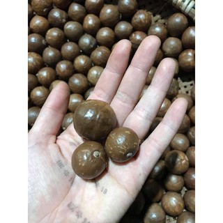 Macca Tây Nguyên -500g