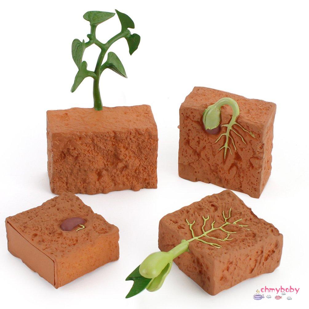 【OMB】 Simulation Life Cycle Of Green Bean Plant Growth Cycle Model Action Figures
