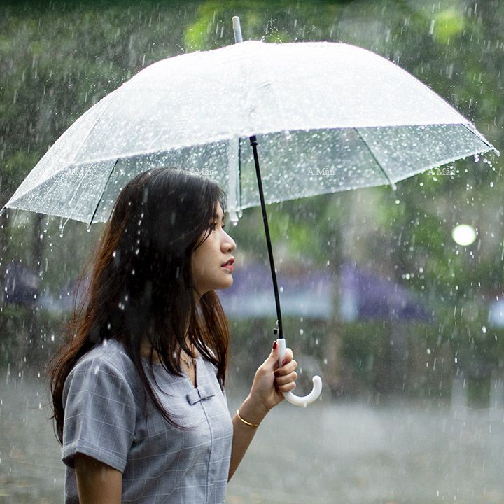 ô đi mưa trong suốt gấp gọn phong cách Hàn Quốc [thích hợp để chụp hình lãng mạn dưới trời mưa]