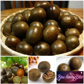 Quả La Hán Khô Chính Hãng, giá gốc chỉ 6k/1 quả. SP của " Gia Lương tích thiện đường"
