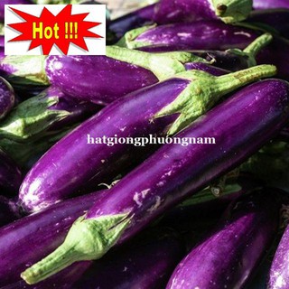 Hạt giống Cà Tím Dài F1 1gram