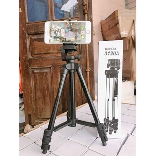 Đèn Livestream.