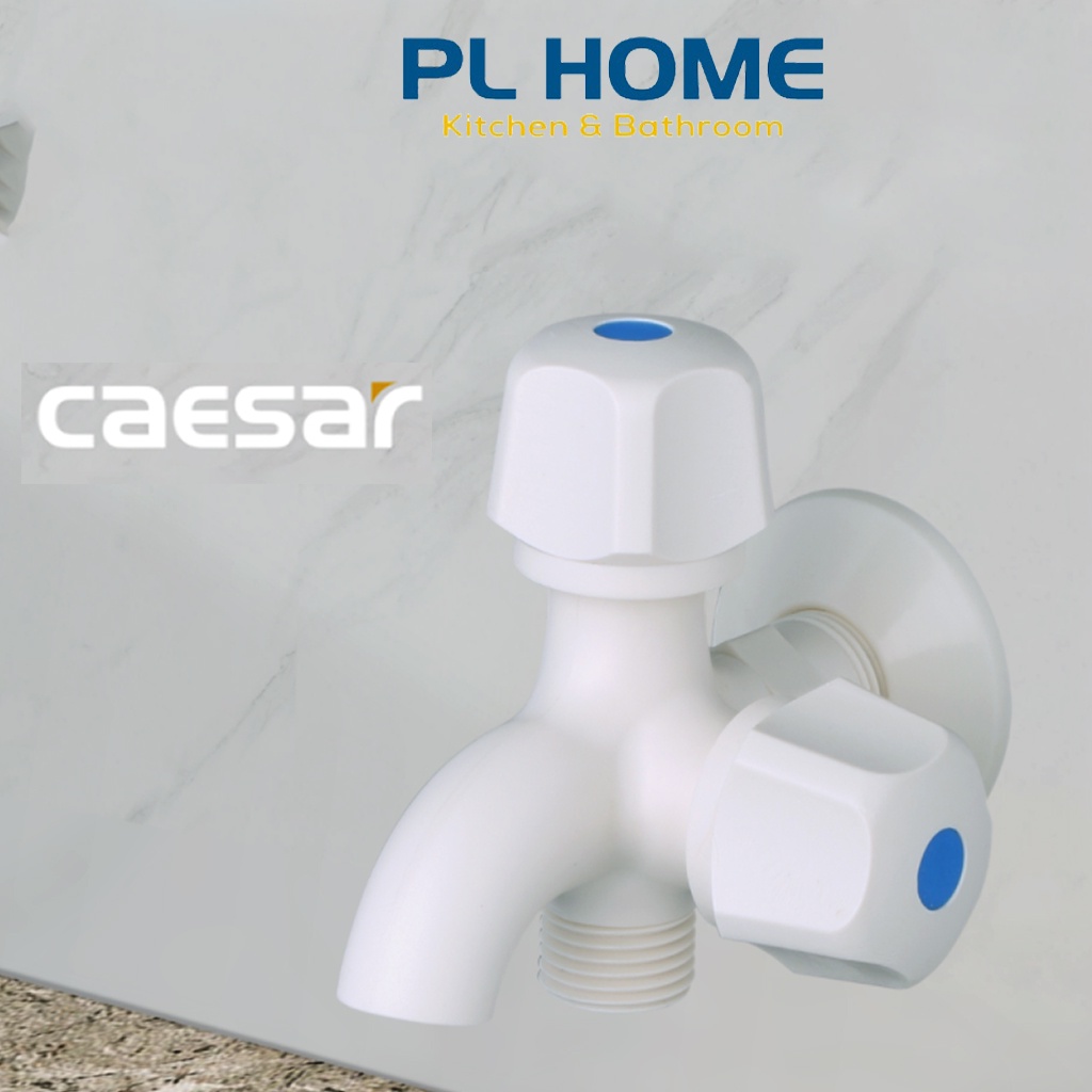 Vòi sen tắm gắn tường CAESAR W038P sử dụng cho đường nước lạnh, có thể kết hợp giữa vòi xả chậu và tay sen tắm