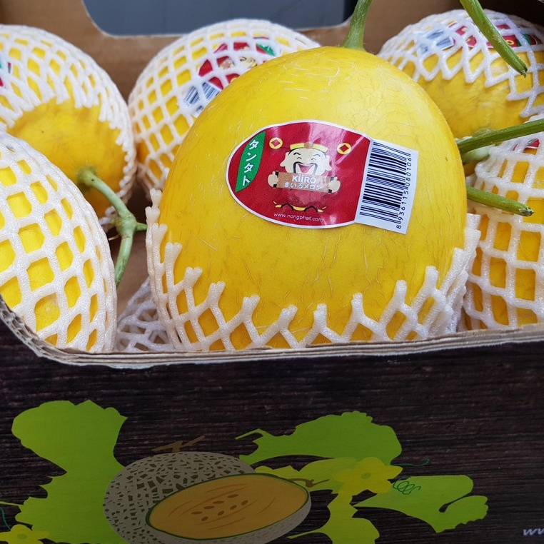 Hạt Giống Dưa Lê Thần Tài KIIRO - Giống Nhật Bản F1