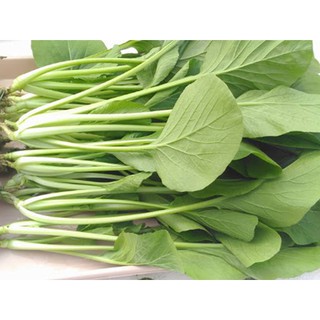 Hạt Giống Cải Ngọt