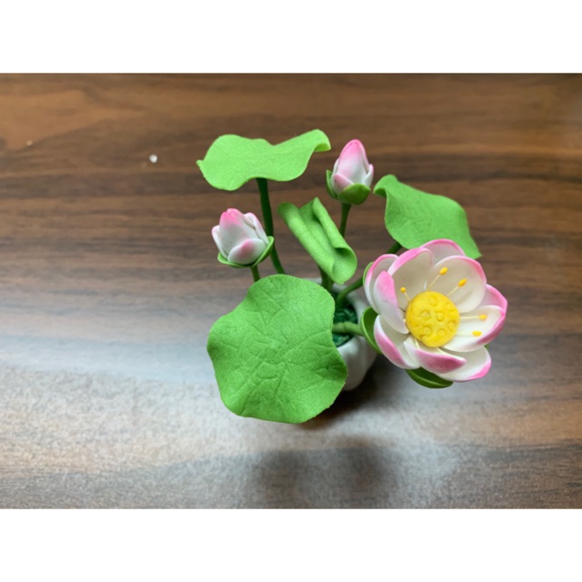 Hoa đất sét mini