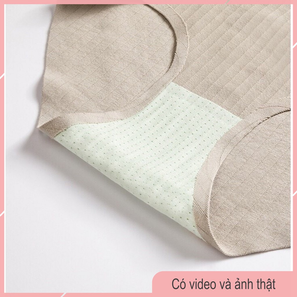 Quần Lót Cotton Gân Tăm Không Đường May Kháng Khuẩn CT06 | WebRaoVat - webraovat.net.vn