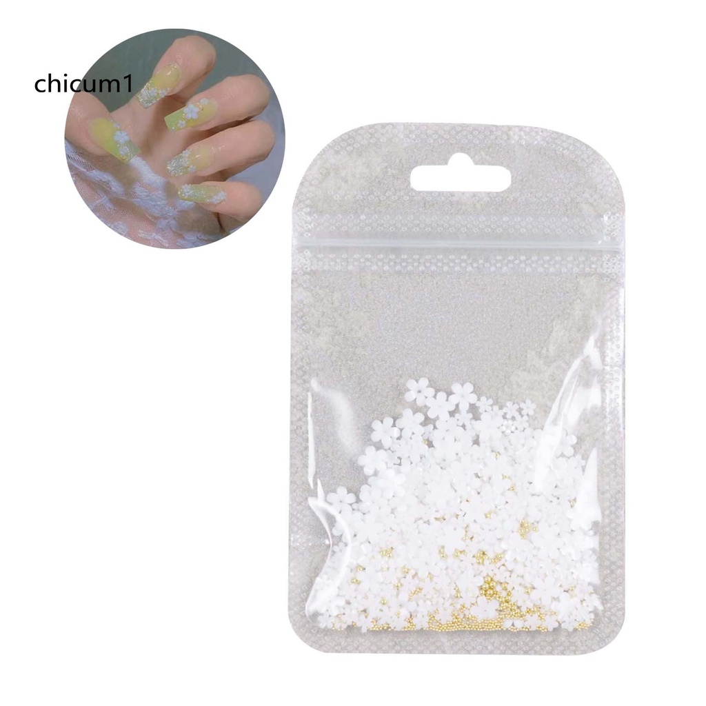 [Hàng mới về] Gói phụ kiện hoa nhựa resin trang trí gắn móng sáng tạo cho phái nữ