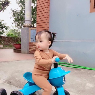 Bộ thuý thanh